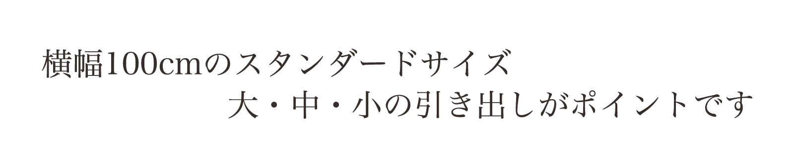 横幅100cmのスタンダードサイズ。大・中・小の引出しがポイントです