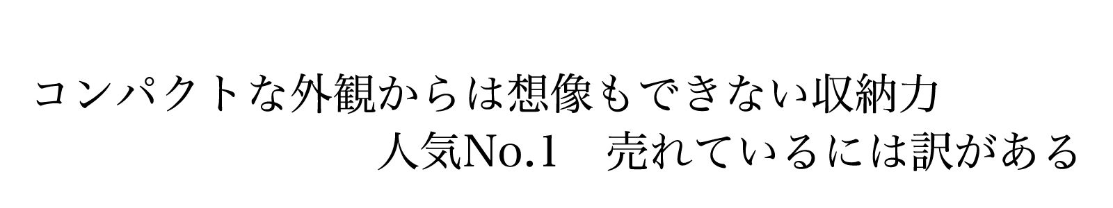 コンパクトな外観からは想像もできない収納力。人気No.1売れているには訳がある