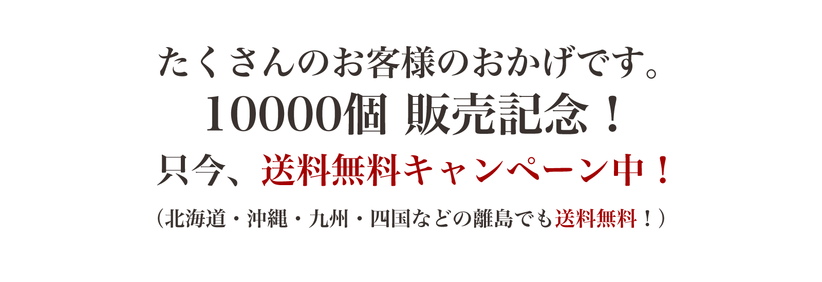 送料無料キャンペーン