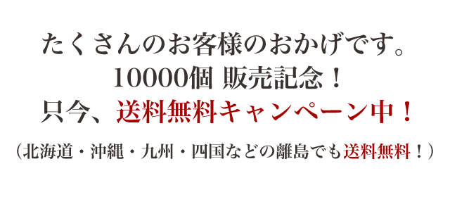 桐米びつ5kg送料無料