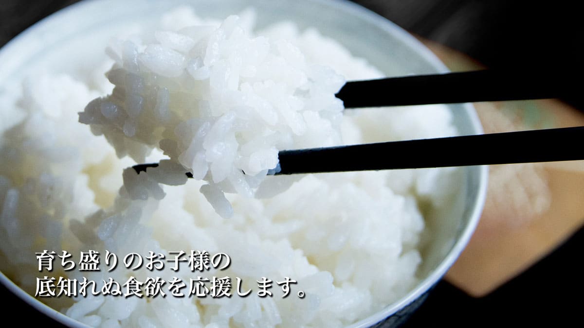 国産桐の桐米びつ20kg