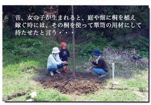 >昔、女の子が生まれると、庭や畑に桐を植え
嫁ぐ時には、その桐を使って箪笥の用材にして持たせたと言う・・・