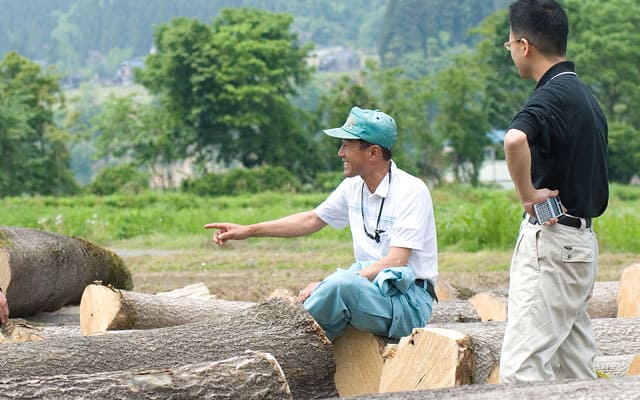 新潟桐を見極める職人 高野信行