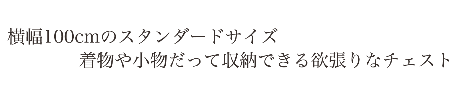 横幅100cmのスタンダードサイズ。着物や小物まで収納できる欲張りなチェスト